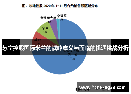 苏宁控股国际米兰的战略意义与面临的机遇挑战分析